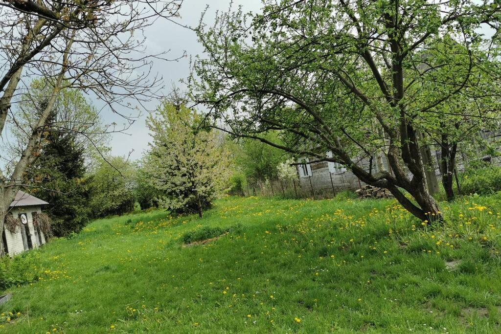 Vila Buglandia Parosla Exteriér fotografie